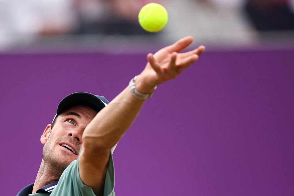 已经与老将 已经与老将